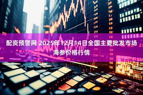 配资预警网 2025年12月14日全国主要批发市场海参价格行情