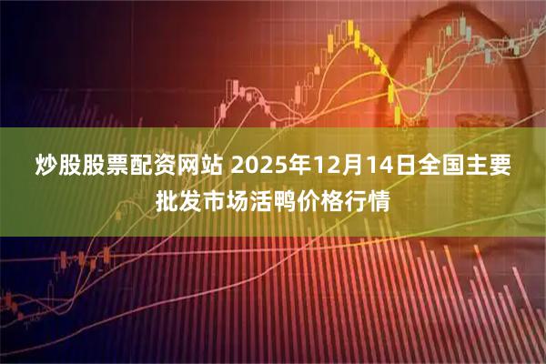 炒股股票配资网站 2025年12月14日全国主要批发市场活鸭价格行情